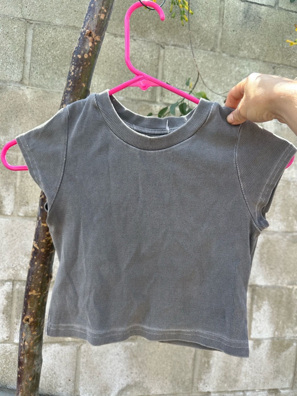 WOMANS badwood Ribbed BABY Tee - Gray